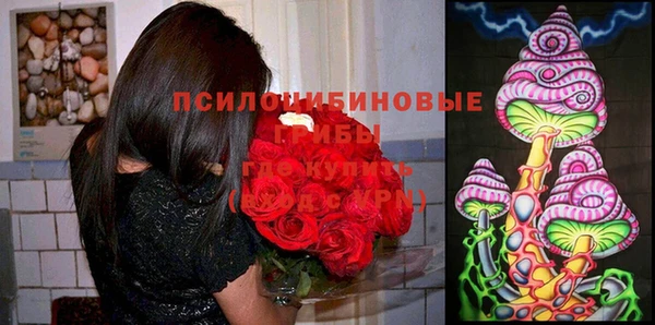 кокс Баксан