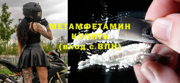 шишки Белокуриха