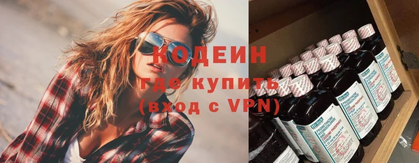 шишки Белокуриха