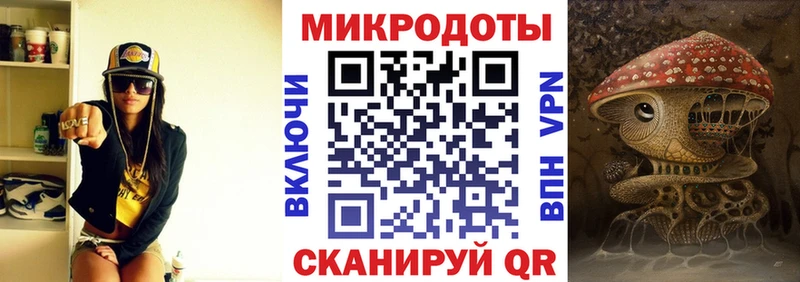гидра ТОР  Гаврилов-Ям  Псилоцибиновые грибы прущие грибы 